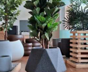 FRP Planter 7