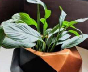 FRP Planter 9